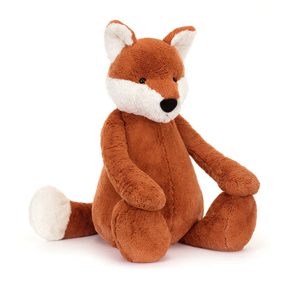 Bashful Fox Cub