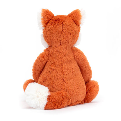 Bashful Fox Cub